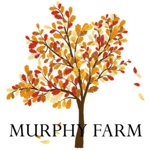 murphy farms home community, harpe development, lots for sale in burlington wi